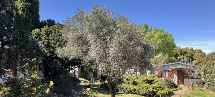 靠近阿尔克诺克酒店(La Cerca Del Alcornoque)图片