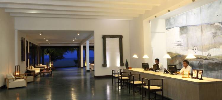 蓝色捷翼(Jetwing Blue)图片