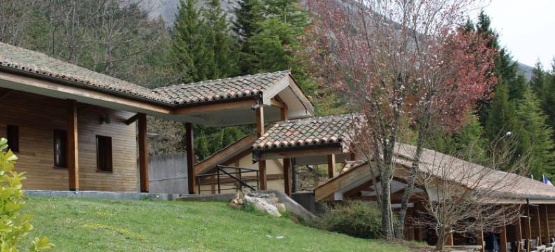 棕熊青年旅舍(Hostel El Oso Pardo)图片