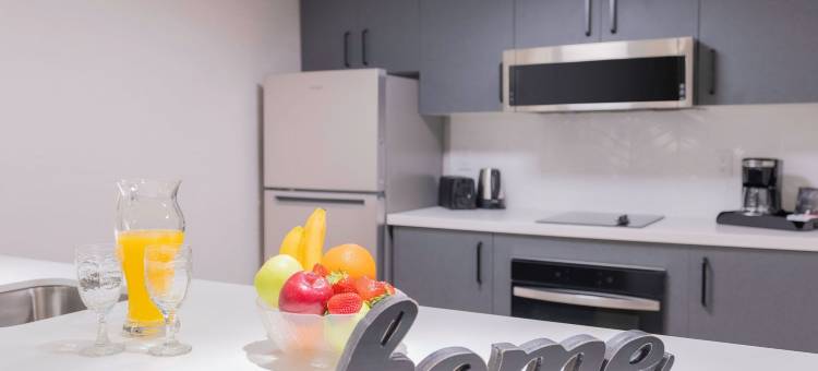 渥太华套房酒店(Les Suites Hotel Ottawa)图片