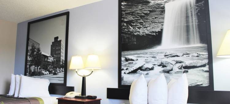 塔斯卡卢萨速8酒店(Super 8 by Wyndham Tuscaloosa)图片