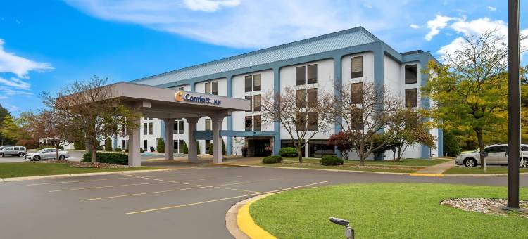 舒适酒店(Comfort Inn)图片