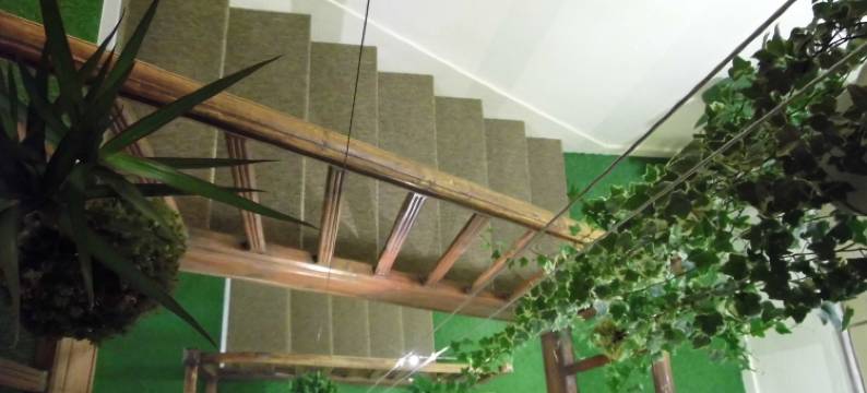 阿特利尔旅馆(L'Atelier S)图片