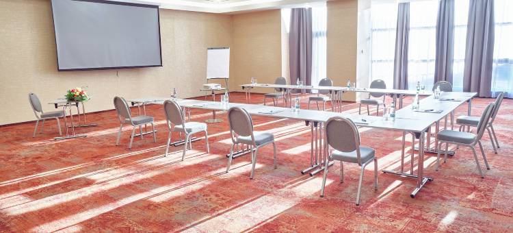 锡比乌我的大陆酒店(MyContinental Sibiu)图片