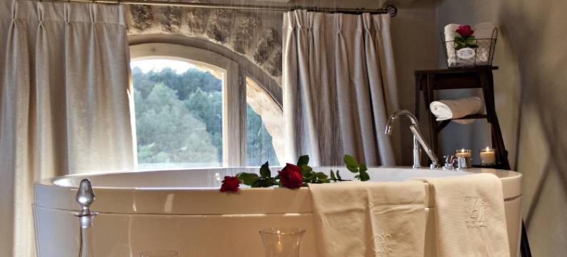 维亚法戈酒店(La Vella Farga Hotel)图片