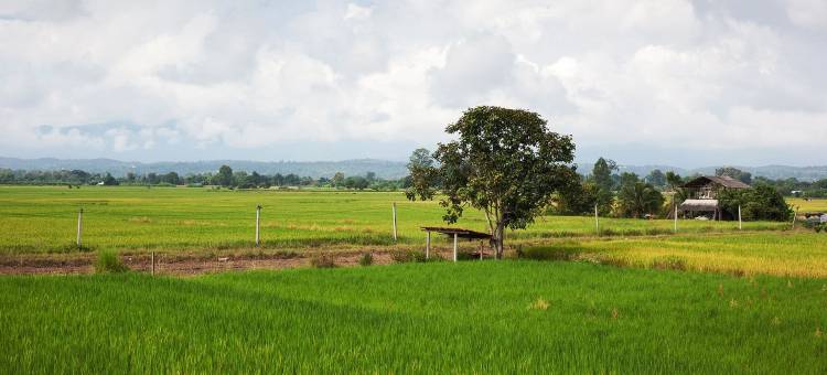 马菲克别墅(Mae Faek Villas)图片