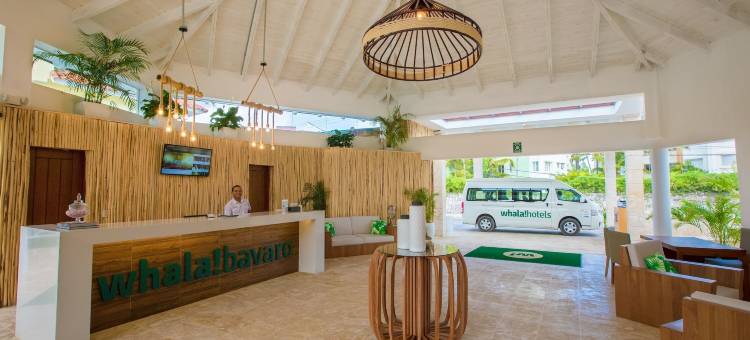 whala!bávaro - All Inclusive图片