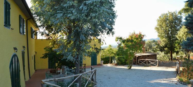 隆迪奈酉波蒂雷农庄酒店(Agriturismo Podere Rondinaio)图片