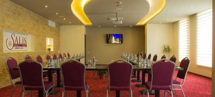 萨利斯医疗水疗酒店(Salis Hotel & Medical Spa)图片