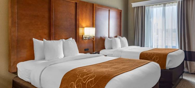 舒适套房酒店(Comfort Suites Batesville)图片