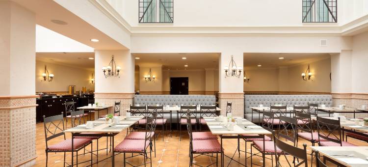 埃克维多利亚宫殿酒店(Exe Victoria Palace)图片