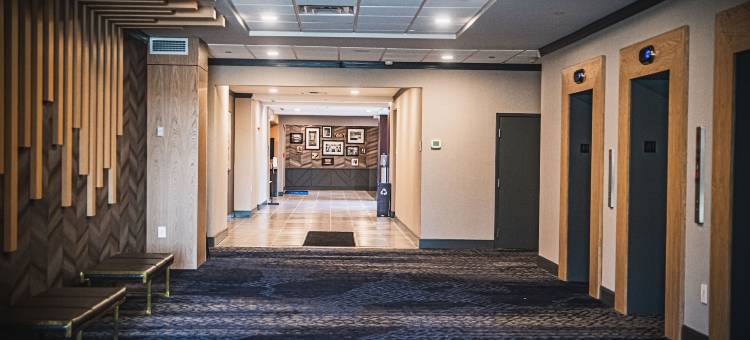 辛辛那提沙伦维尔德尔塔酒店(Delta Hotels Marriott Cincinnati Sharonville)图片