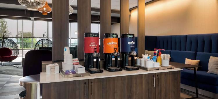 诺维底特律希尔顿特鲁酒店(Tru by Hilton Novi Detroit)图片