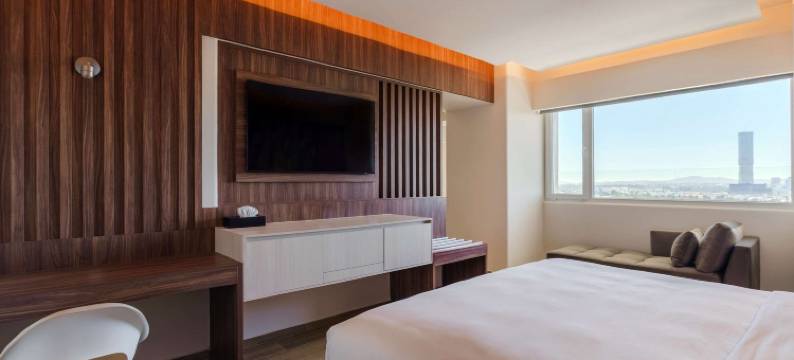 丽笙普埃布拉安赫洛波利斯(Hotel Radisson Puebla Angelopolis)图片