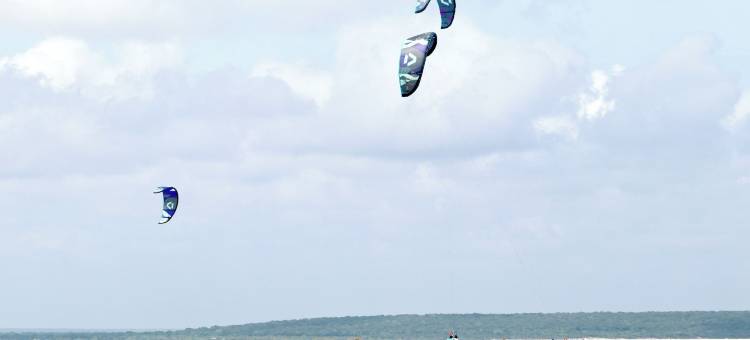 科杜卡尔皮蒂亚(Koddukalpitiya)图片