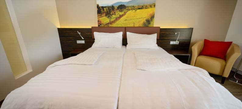 Dorfmeister 商务酒店 B&B(Dorfmeister Business Hotel B&B)图片