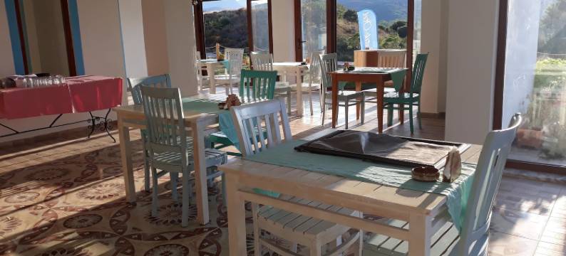 ADA KEKİĞİ 膳宿公寓(Ada KEKİĞİ PANSİYON)图片