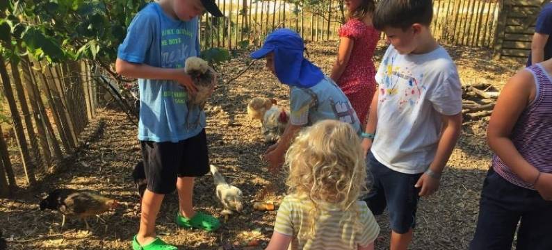 布赫加德生态小屋酒店(Ecolodge Beauregard)图片