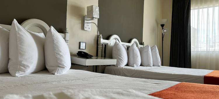 Hotel Los Robles = 洛斯罗布莱斯酒店(Hotel Los Robles)图片