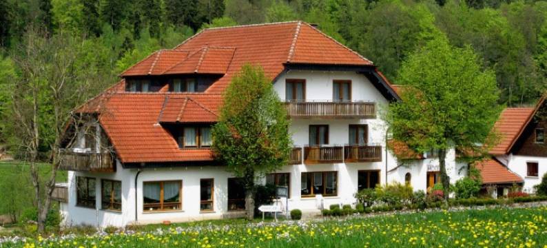 Rhön Sonnenhof酒店 - 餐厅和咖啡馆(Rhön-Hotel Sonnenhof -)图片