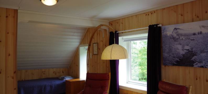 伦海姆旅馆(Lunheim in Geiranger)图片