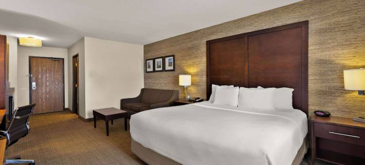 拉丁顿智选假日酒店(Comfort Inn Ludington Near US-10)图片