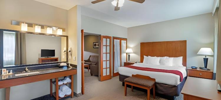 舒适套房酒店-达拉斯北(Comfort Suites North Dallas)图片