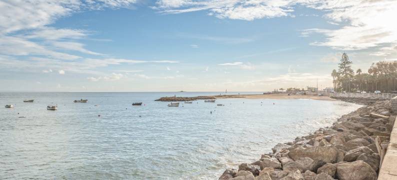 GuestReady - Conde das Acáçovas 2D图片