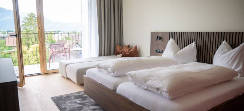 菲尔德基希-阿尔滕施塔特的Schäfle(Schäfle Feldkirch-Altenstadt)图片