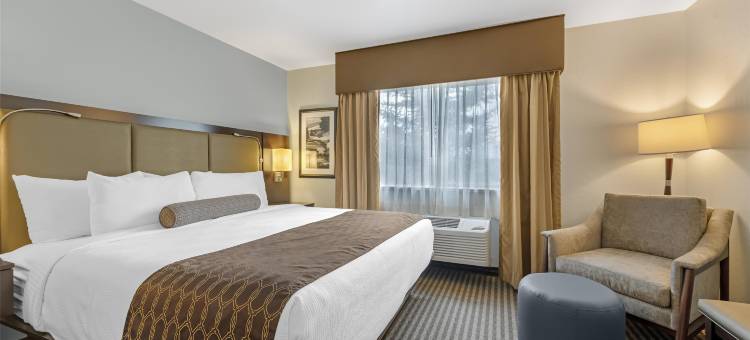 维斯塔贝斯特韦斯特酒店(Best Western Vista Inn)图片