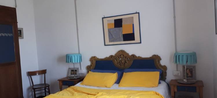 House in the Forest - Sunshine (CITRA code. 009063-LT-0015)图片