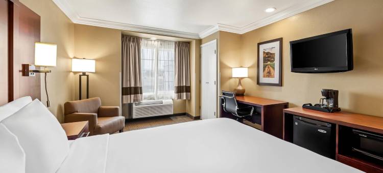 舒适套房酒店(Comfort Inn & Suites Salinas)图片