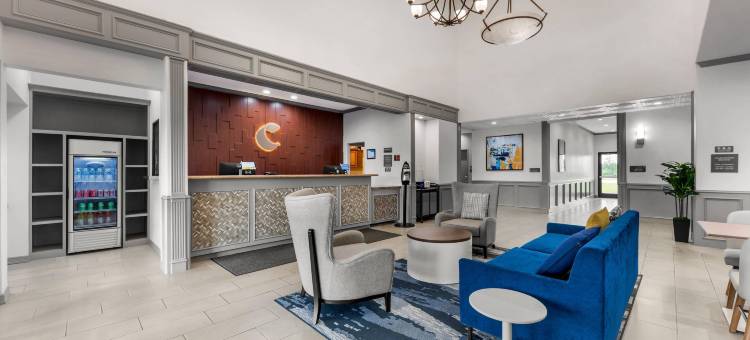 舒适套房酒店(Comfort Inn & Suites)图片