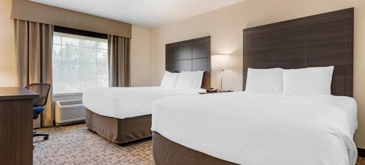 舒适酒店及套房梅迪纳纽约靠近伊利运河(Comfort Inn & Suites Medina NY Near Erie Canal)图片