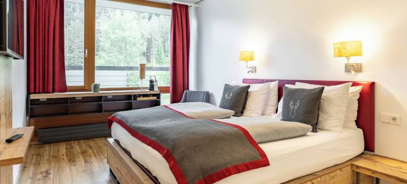 DORMERO BeHo 楚格峰(Dormero BeHo Zugspitze)图片