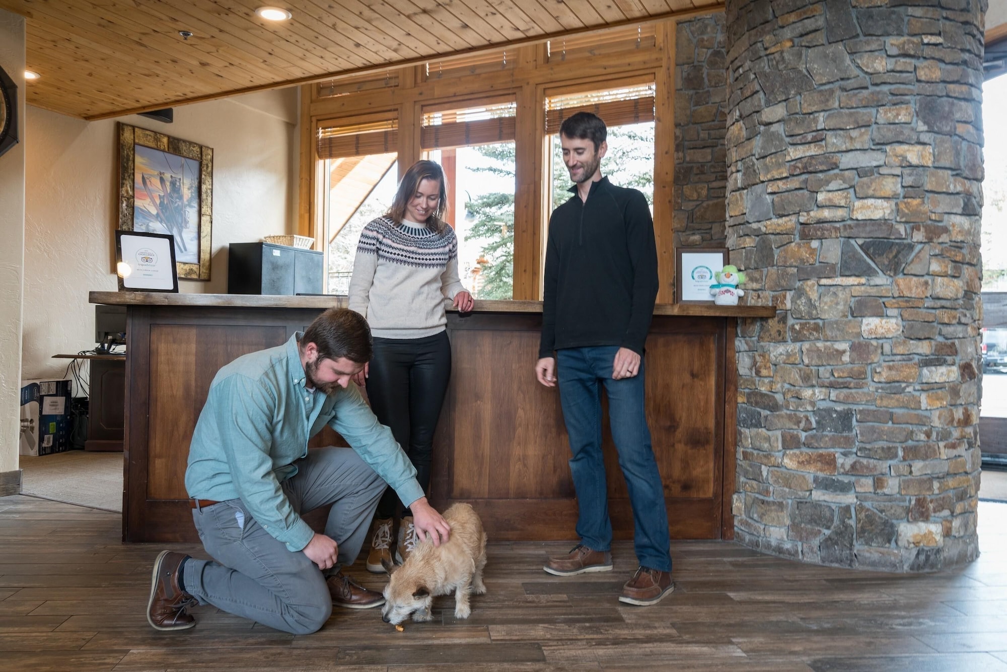 Bear Creek Lodge by Alpine Lodging Telluride Over view