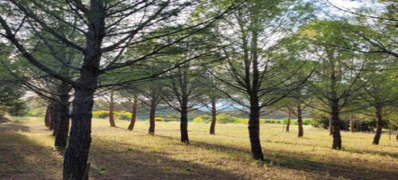 Holiday Home in Félines-Minervois with Pool图片