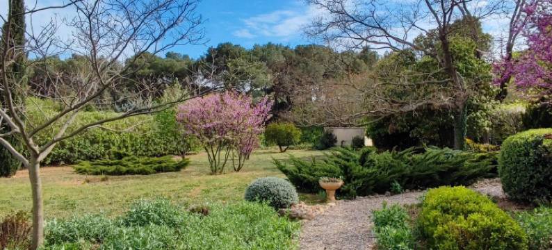 Spacious holiday home with private pool and park图片