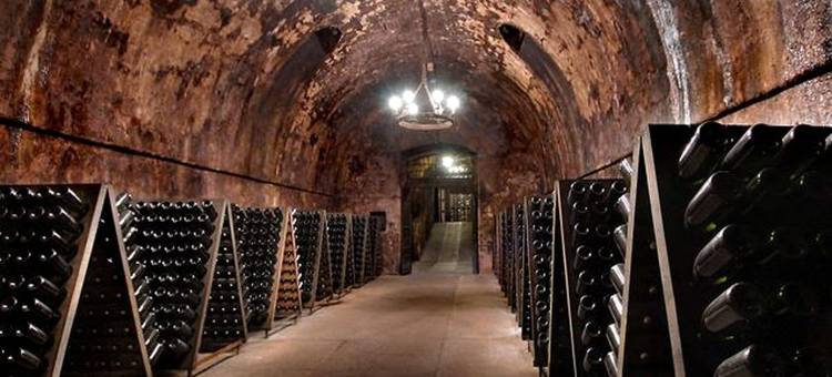 Eco-Villa in Wine Country图片