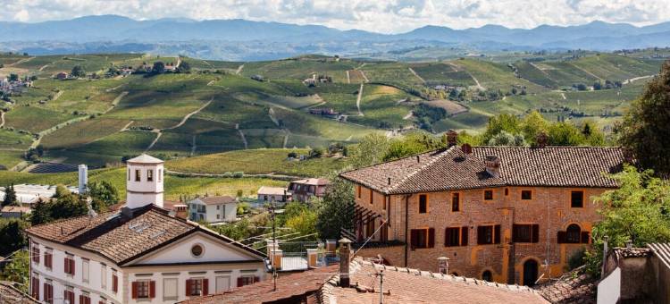 Barbera in Villa Pesce图片
