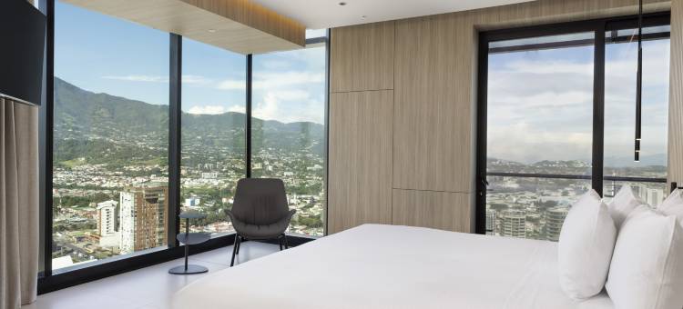 圣何塞拉萨瓦纳希尔顿酒店(Hilton San Jose la Sabana)图片