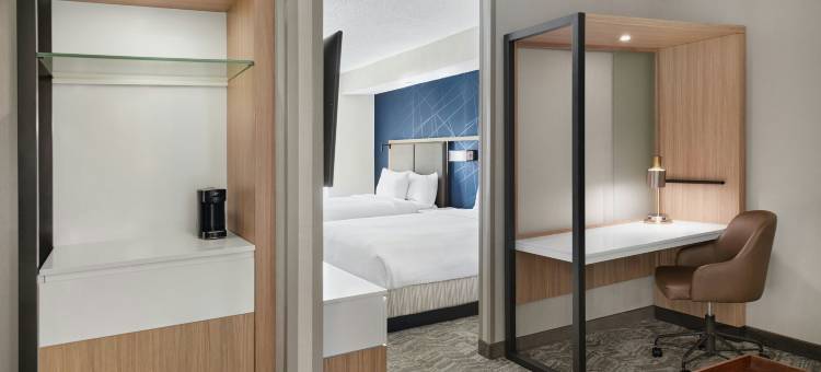 兰辛SpringHill Suites酒店(SpringHill Suites Lansing)图片