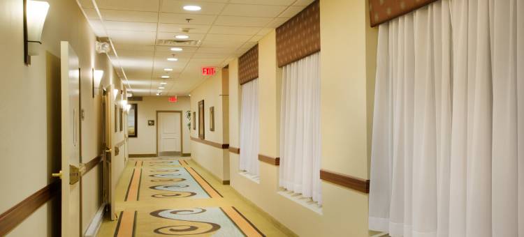 Holiday Inn 布卢明顿(Holiday Inn Bloomington-University Area)图片