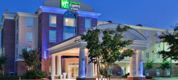 智选假日套房酒店巴吞鲁日东(Holiday Inn Express & Suites Baton Rouge East)图片