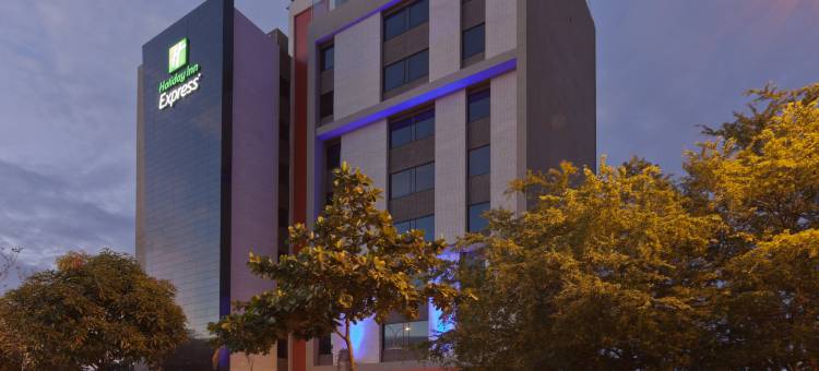 约帕尔智选假日酒店(Holiday Inn Express YOPAL by IHG)图片