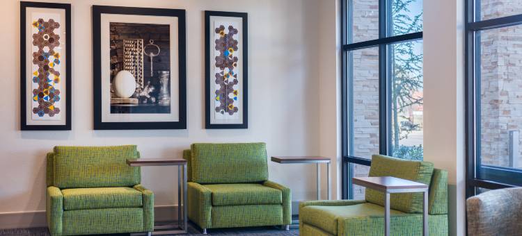 智选假日套房酒店-沃斯堡西(Holiday Inn Express & Suites Fort Worth West)图片