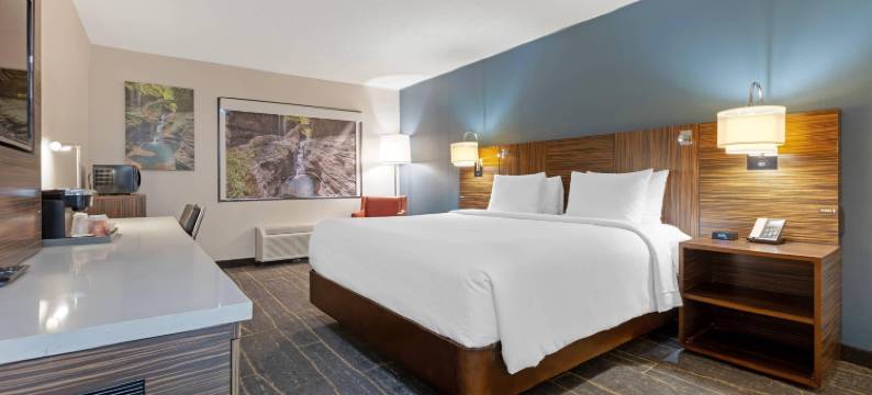 卢克斯酒店及会议中心 - 阿桑德连锁酒店(The Lux Hotel & Conference Center, Ascend Hotel Collection)图片