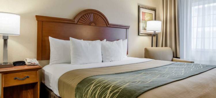 大本德温德姆速8酒店(Super 8 by Wyndham Great Bend)图片