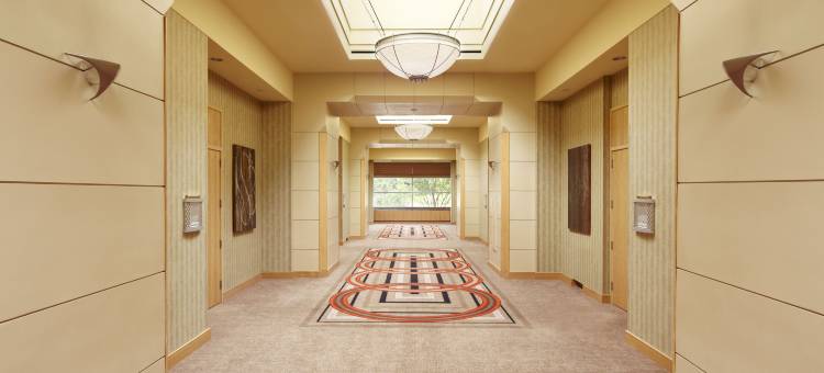 凯悦尚萃芝加哥奥黑尔(Hyatt Centric Chicago O'Hare)图片