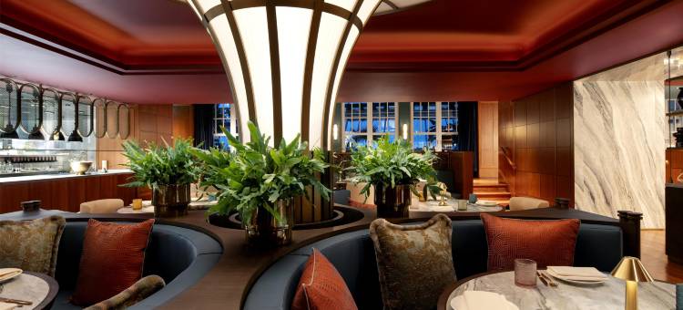 Conrad Hamburg图片